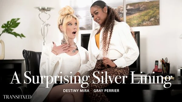 Transfixed - Destiny Mira and Gray Perrier - A Surprising Silver Lining
